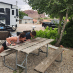 Shakeout